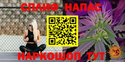 скорость Бийск